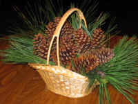 Basket Of Pinecones